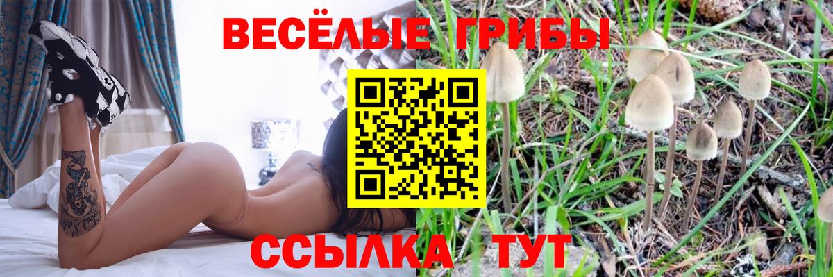 Псилоцибиновые грибы ЛСД Димитровград