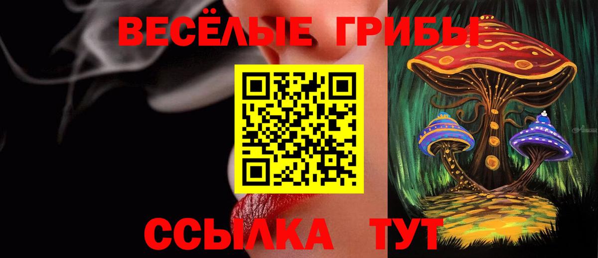 Галлюциногенные грибы Psilocybine cubensis  Вход с VPN  Галлюциногенные грибы Psilocybe  Димитровград 